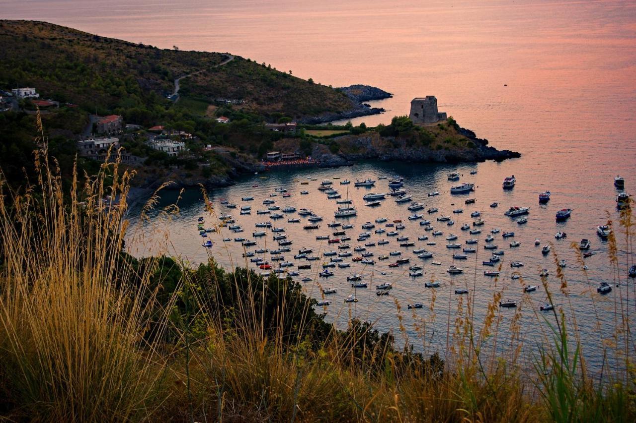 Villa La Ficuzza Cittadella del Capo Luaran gambar
